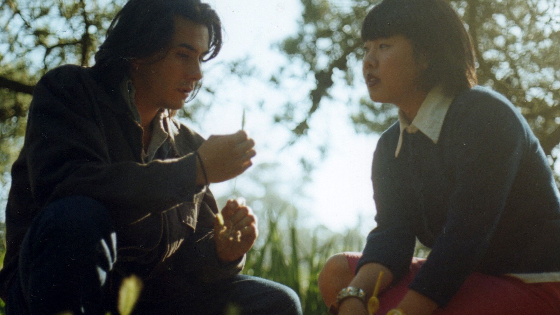 Backdrop for Scumrock