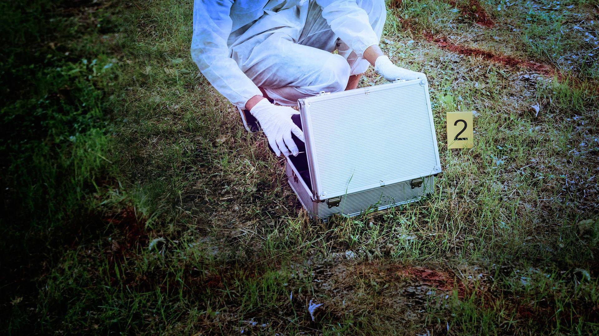 Backdrop for Pandora's Box: Unleashing Evil