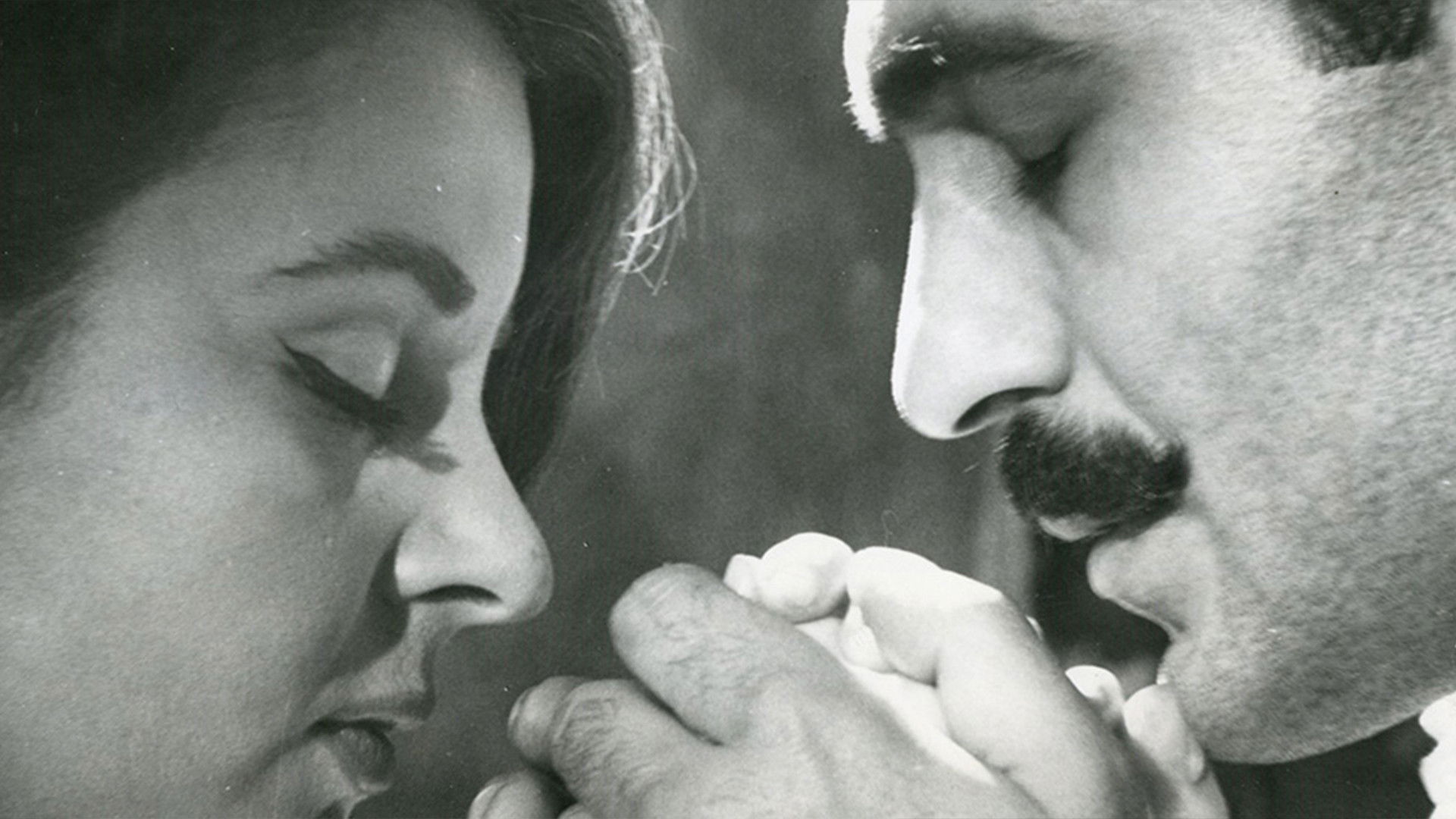 Backdrop for The Ballad of Ali of Keshan