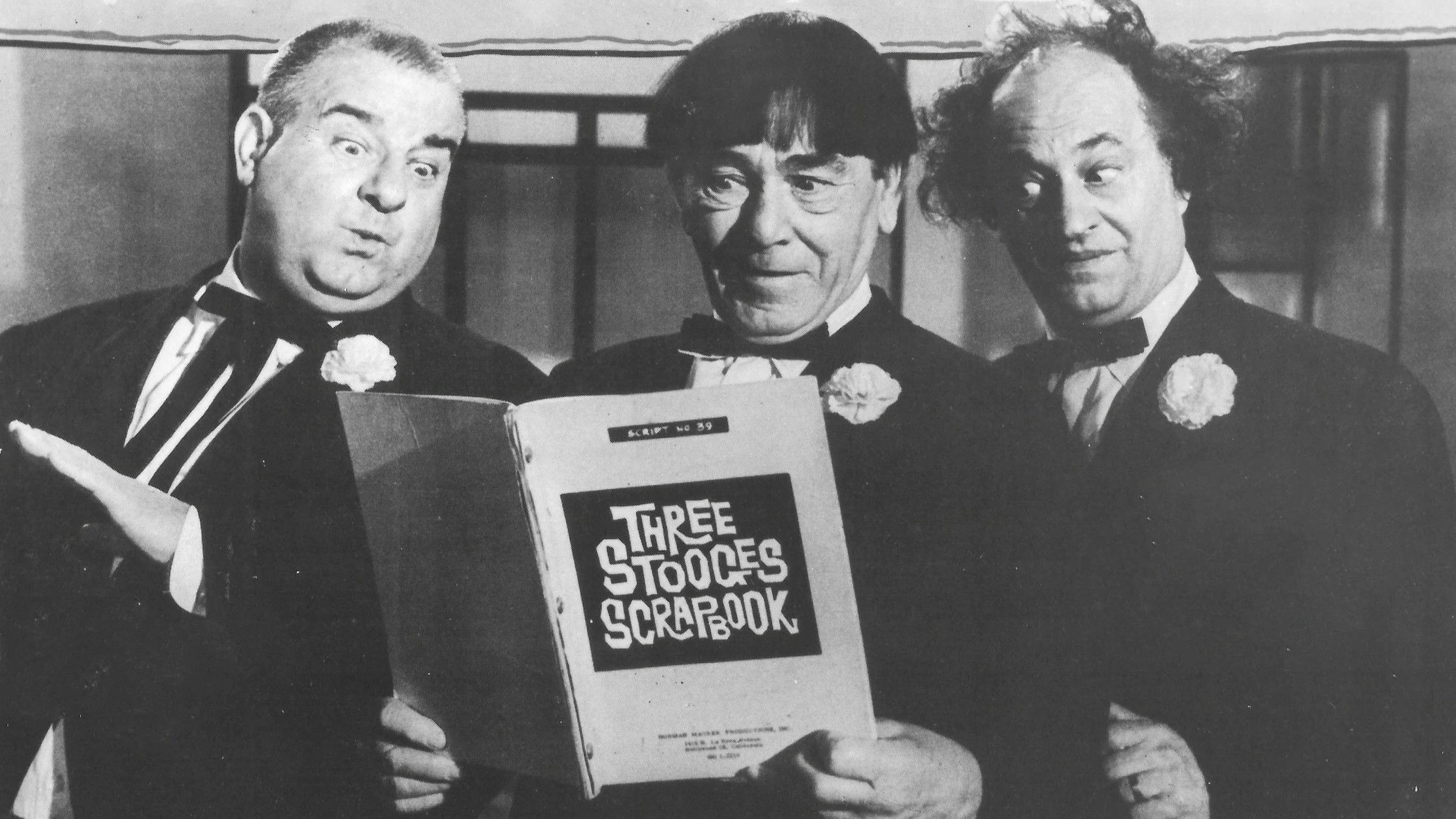 Backdrop for The Three Stooges Scrapbook
