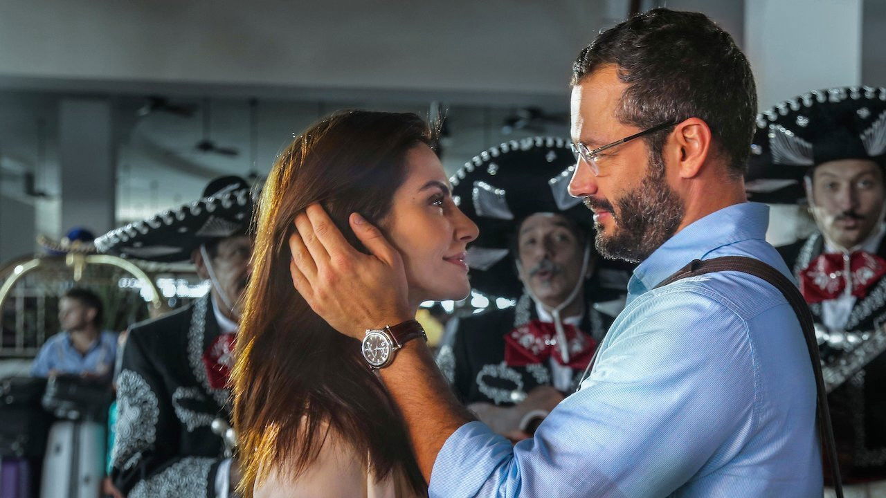 Backdrop for Any Stray Cat 2