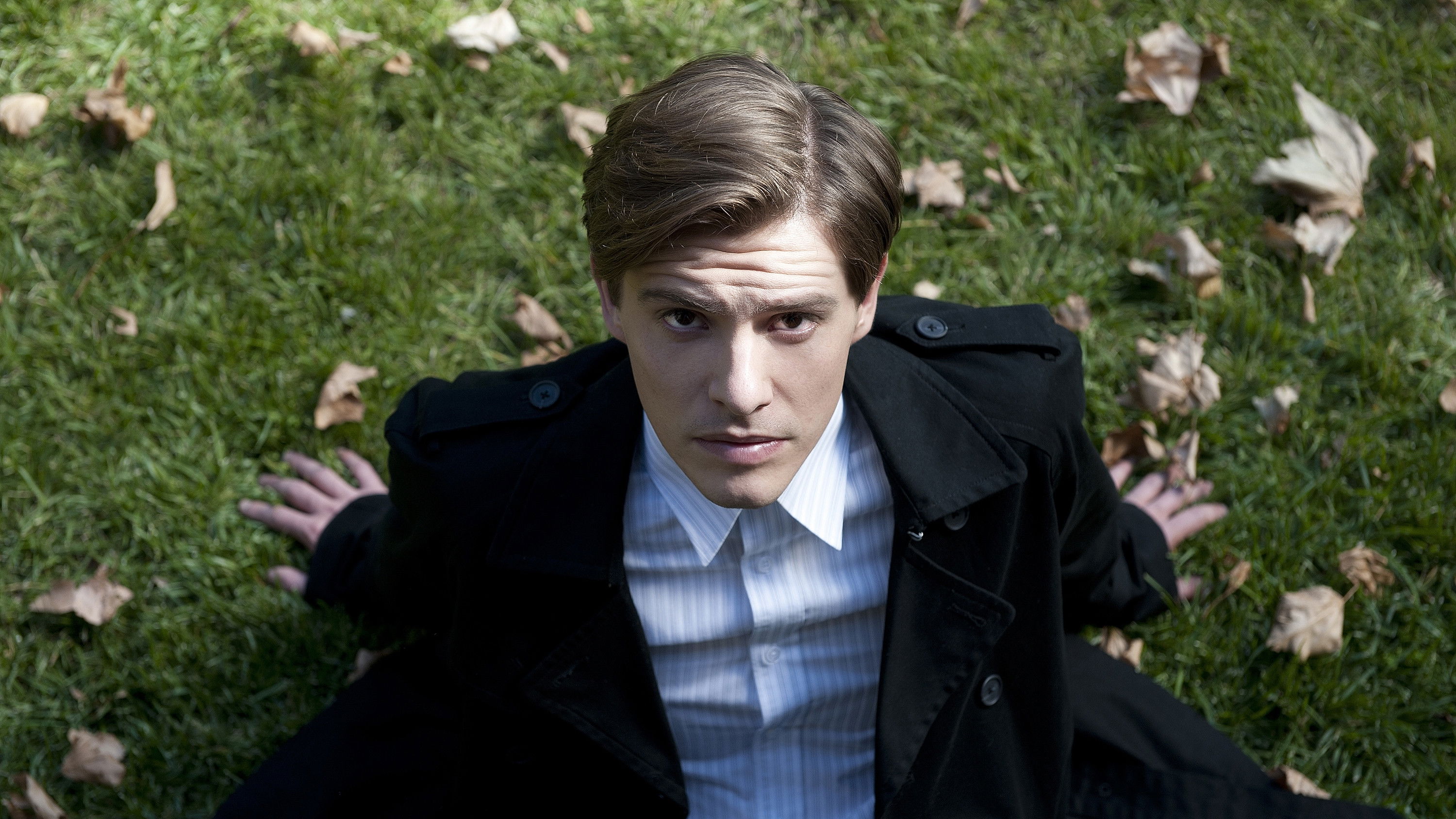 Backdrop for The Death and Life of Otto Bloom