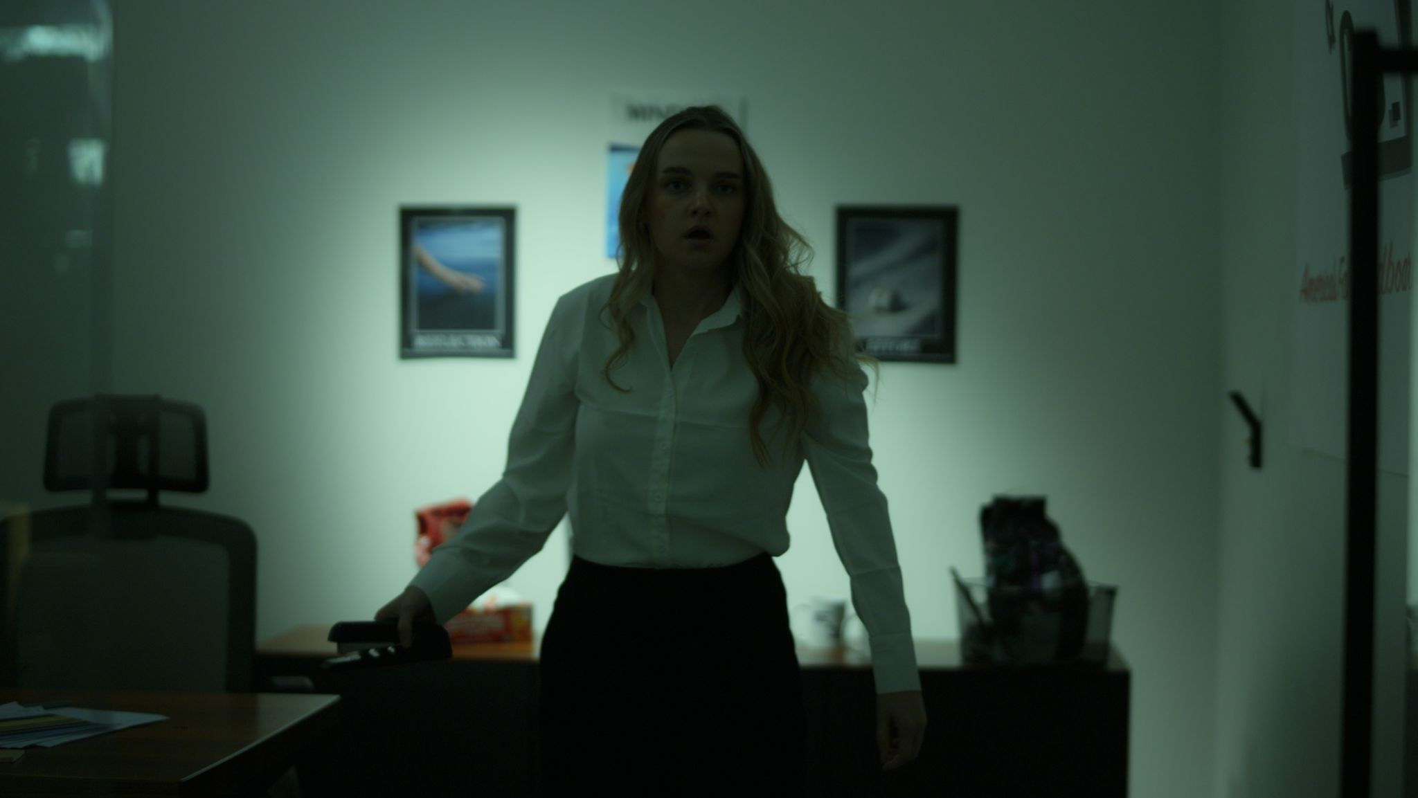 Backdrop for Ally vs the Dead