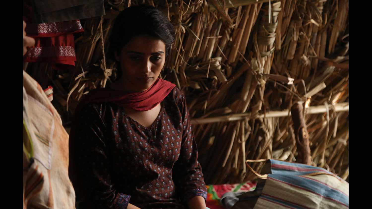 Backdrop for Bittersweet