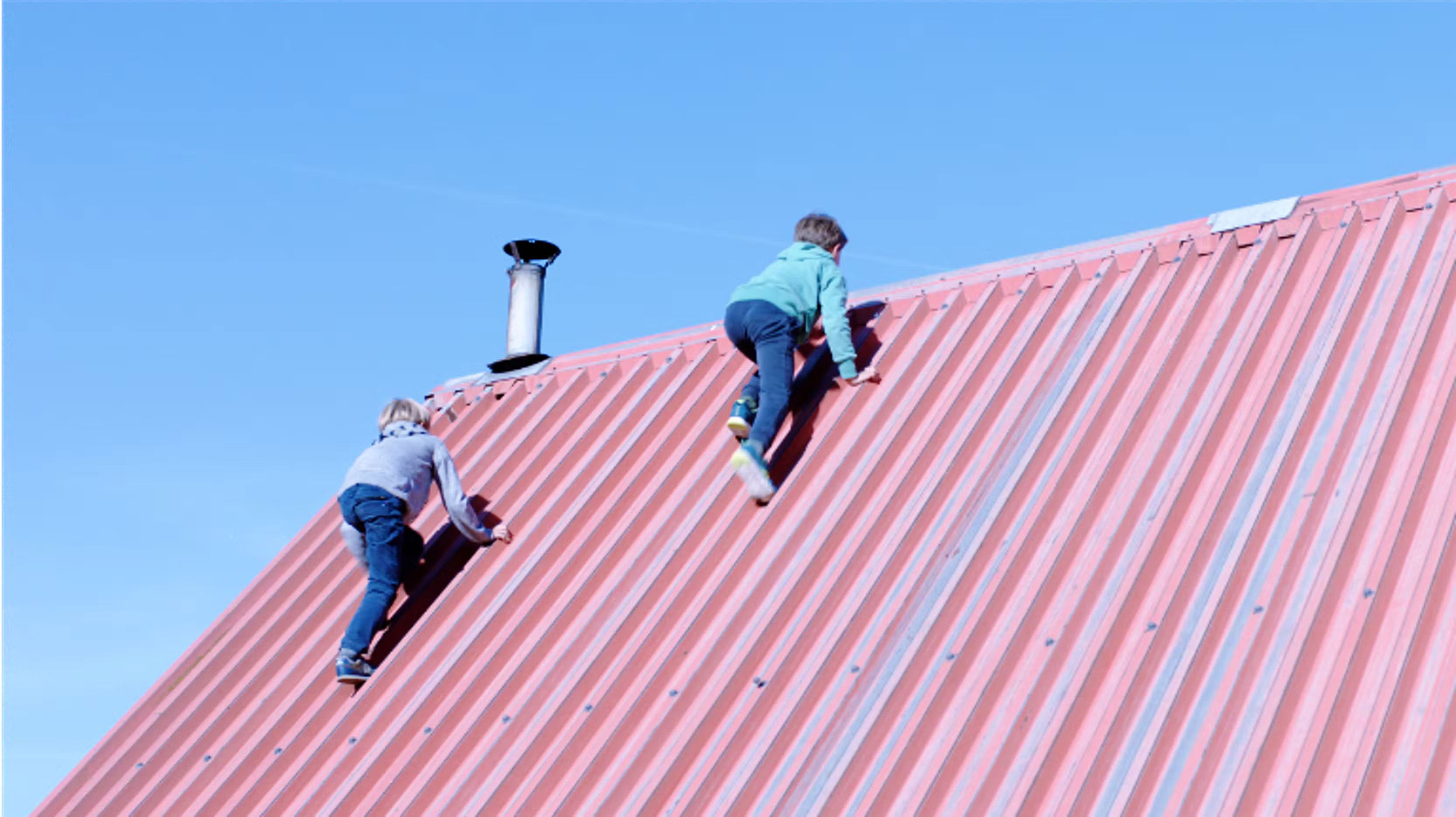 Backdrop for Life, Assembled