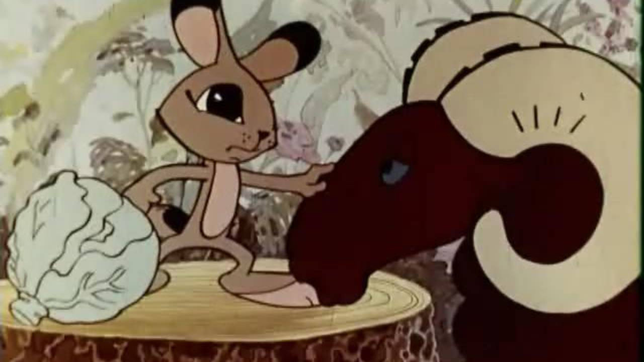 Backdrop for For the Flick on the Forehead