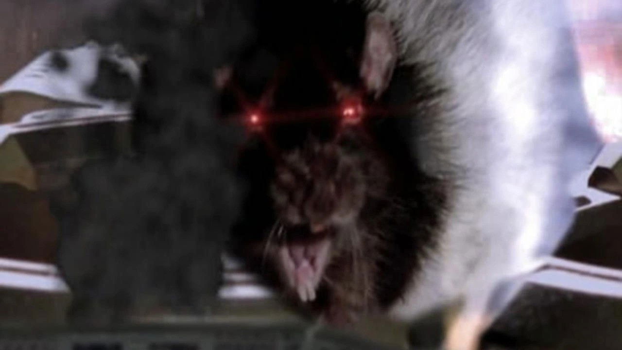 Backdrop for Rat Scratch Fever