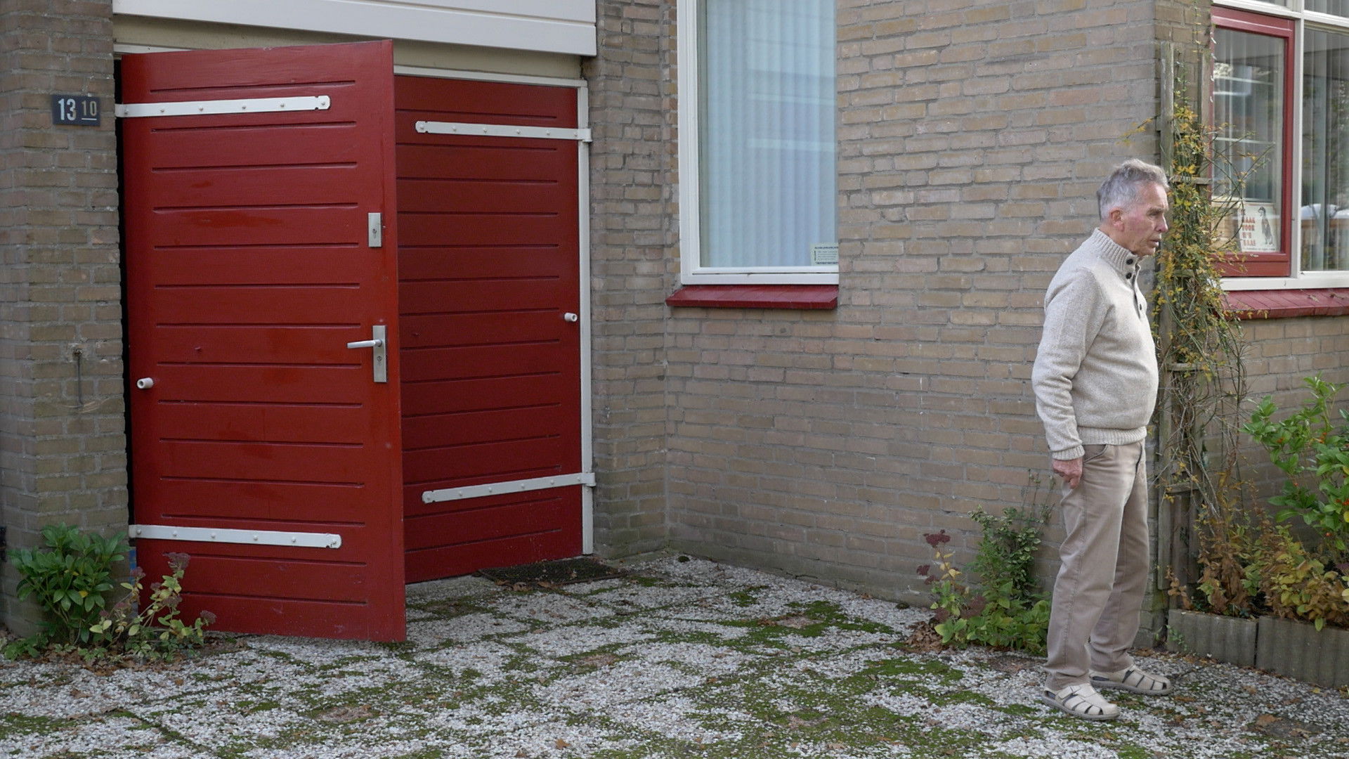 Backdrop for Garden of Life