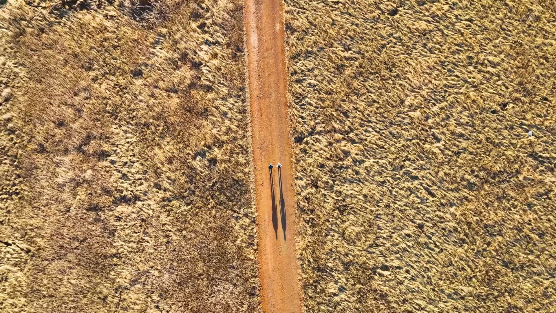 Backdrop for The Long Way Home