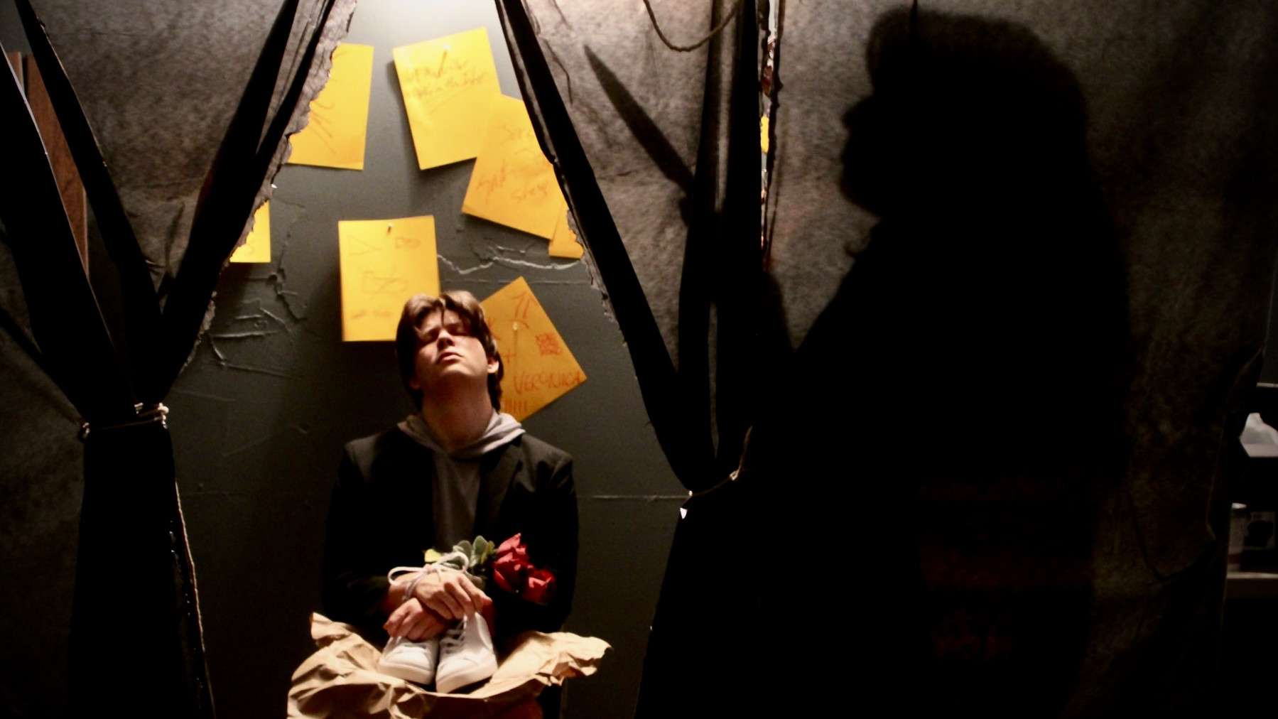 Backdrop for Sole Survivor