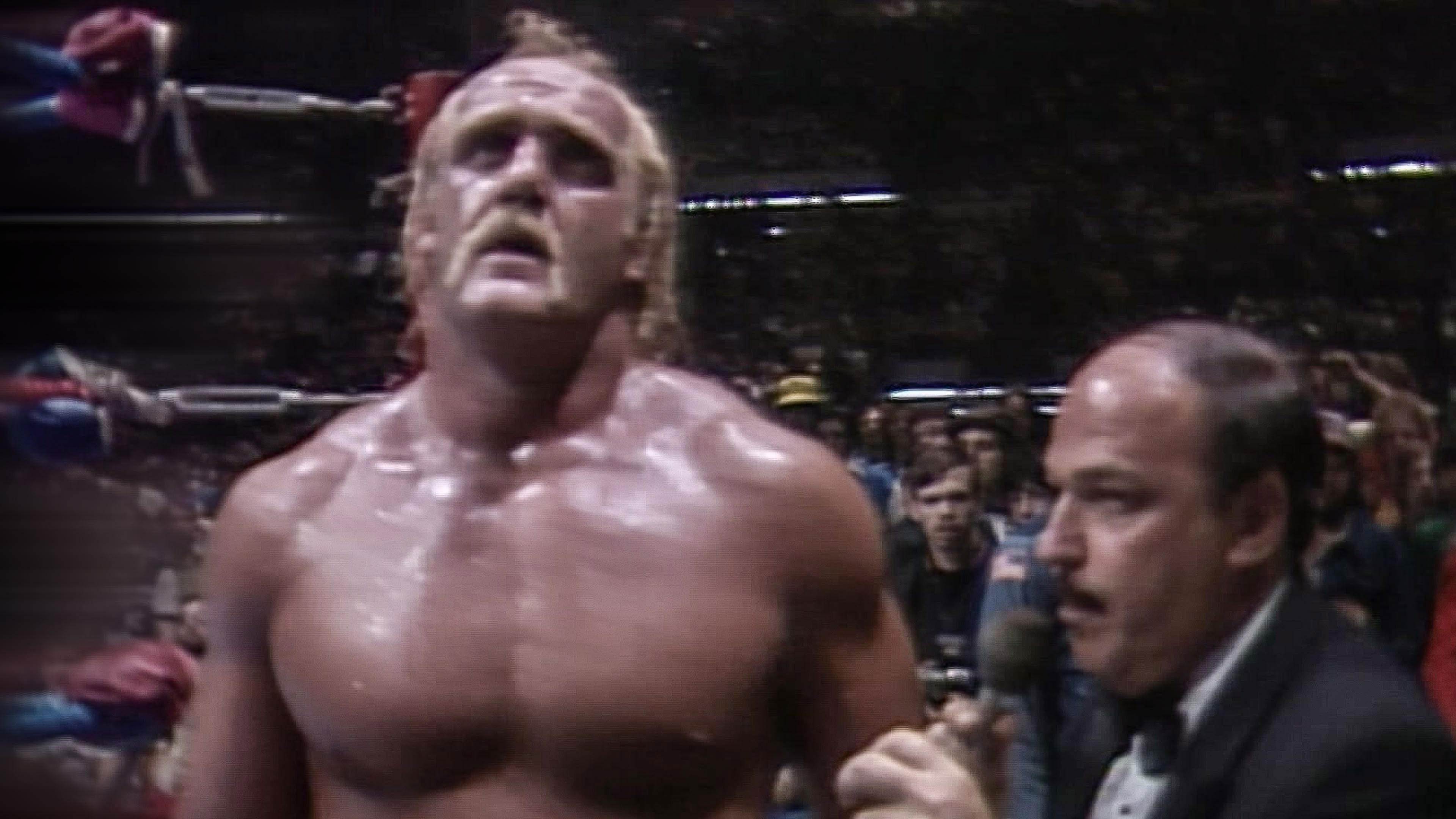 Backdrop for AWA Super Sunday