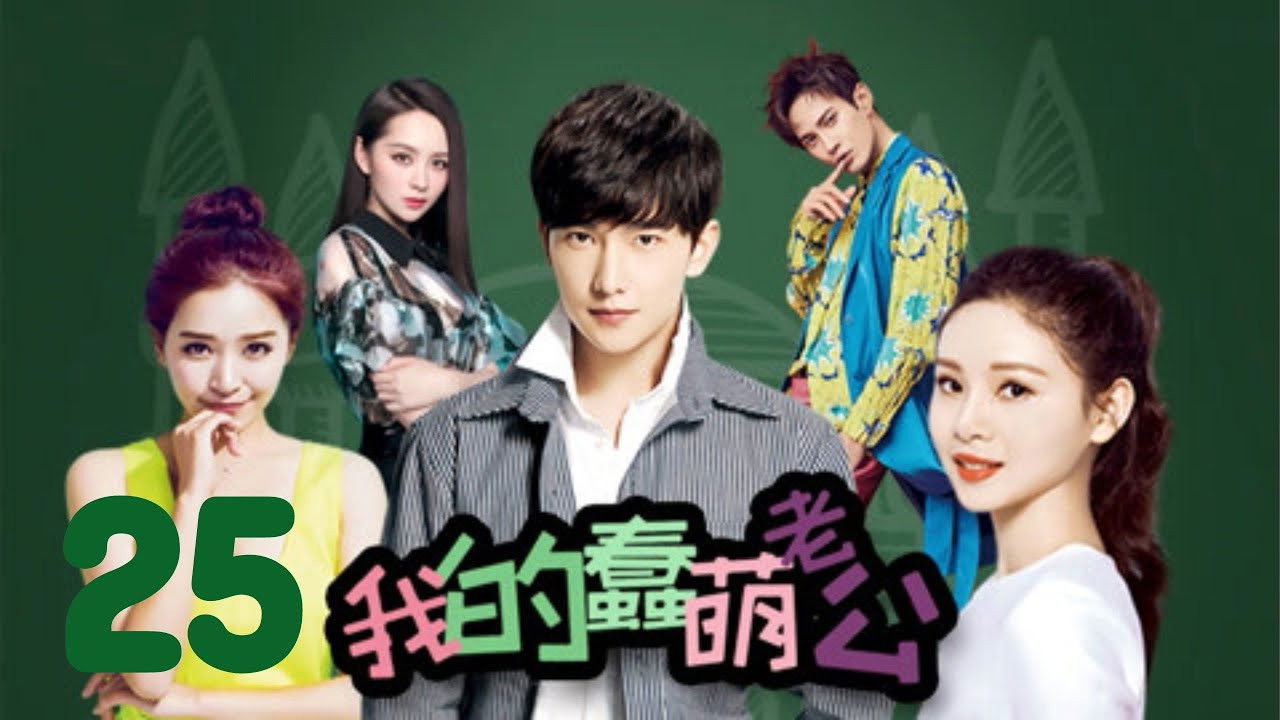 Backdrop for My Stupid Cute Husband