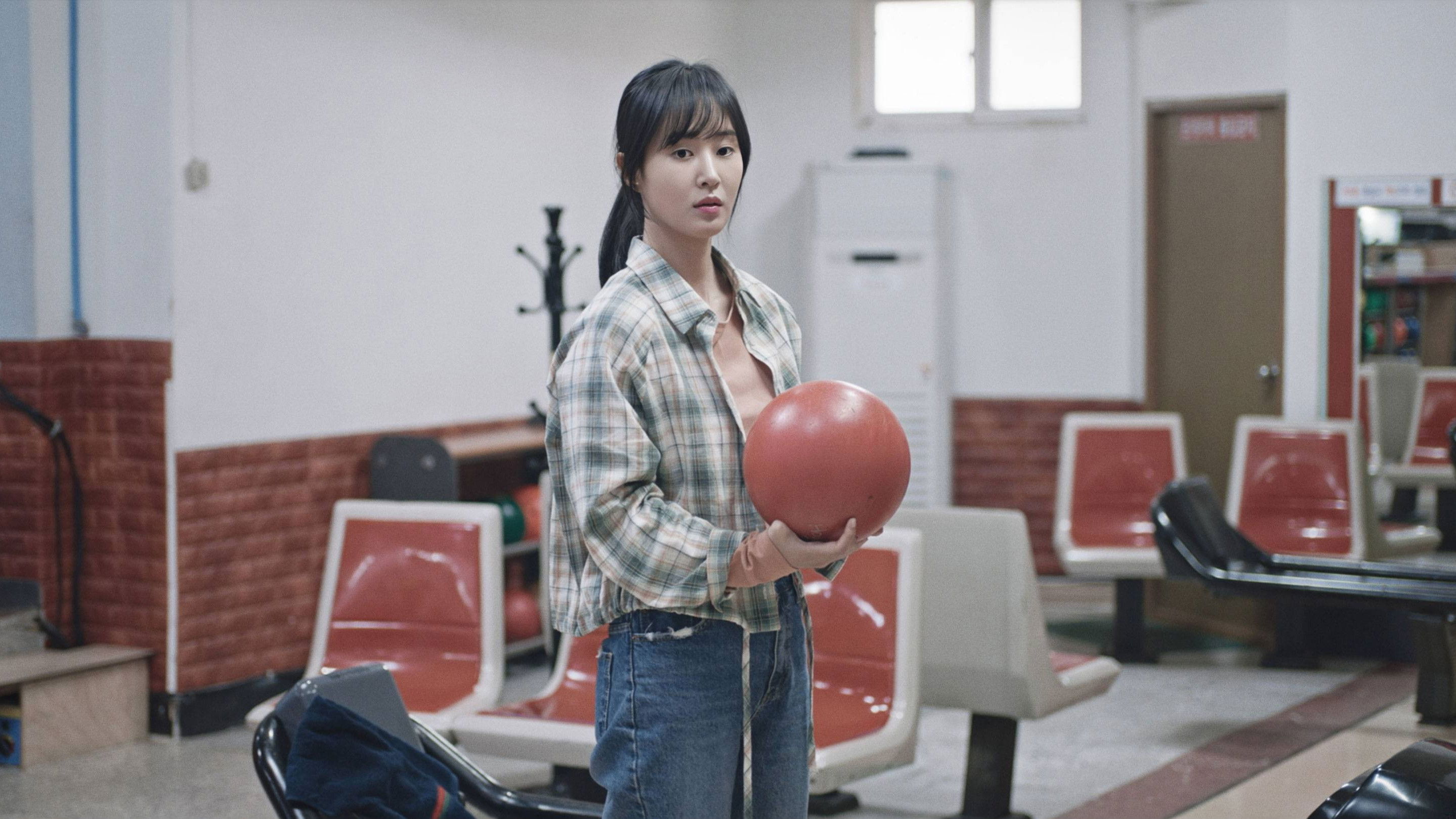 Backdrop for Dolphin