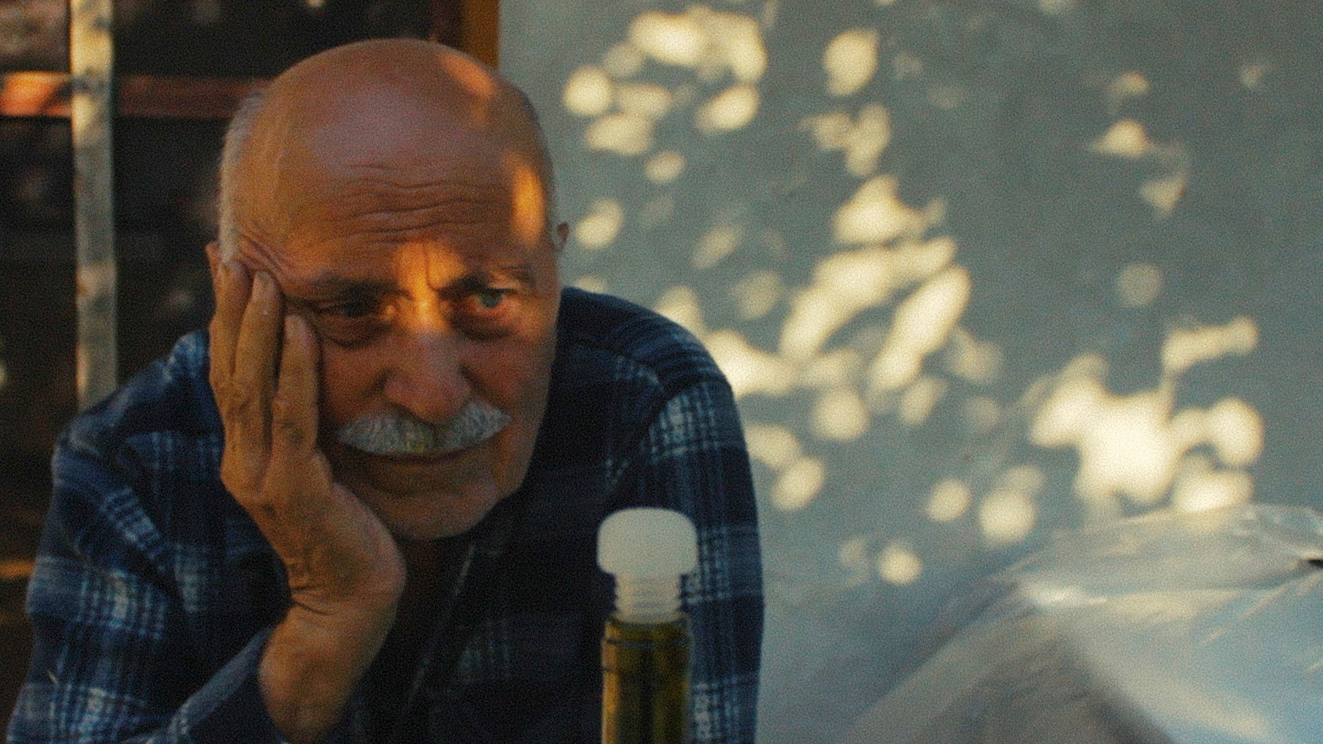 Backdrop for Cornelian Cherries