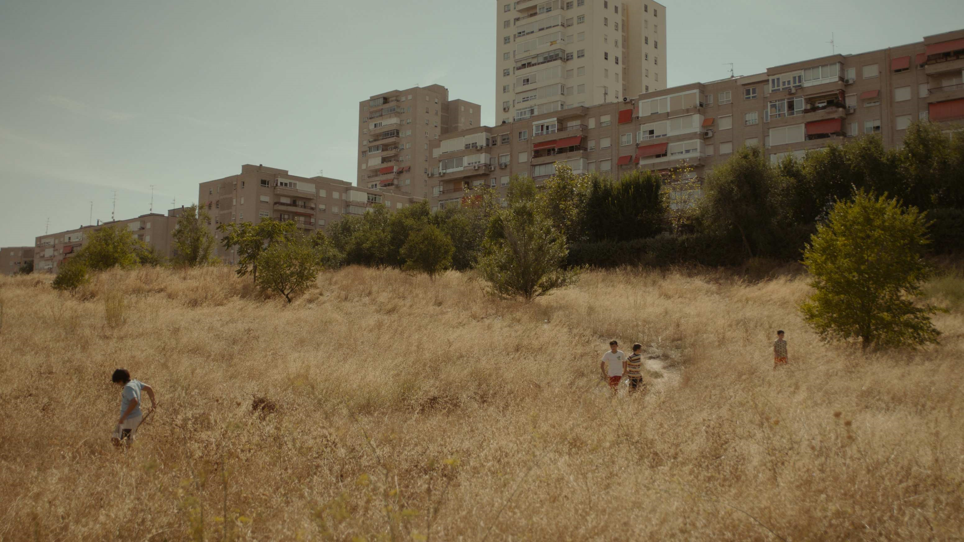 Backdrop for Magical Thinking