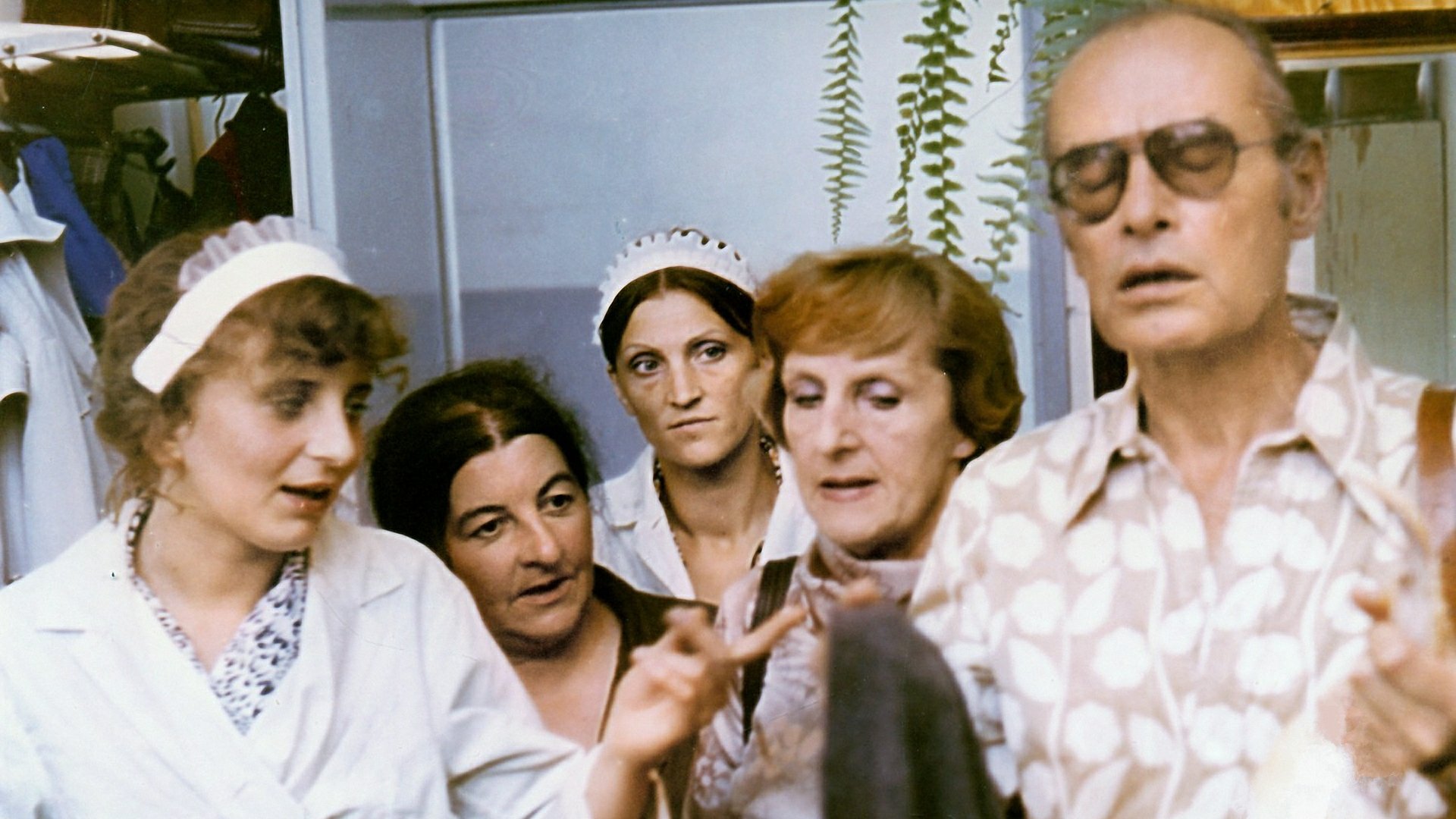 Backdrop for What Will You Do When You Catch Me?