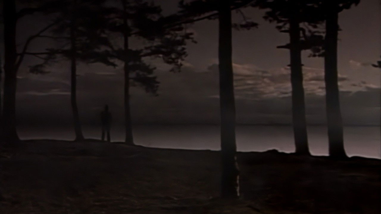 Backdrop for Oriental Elegy