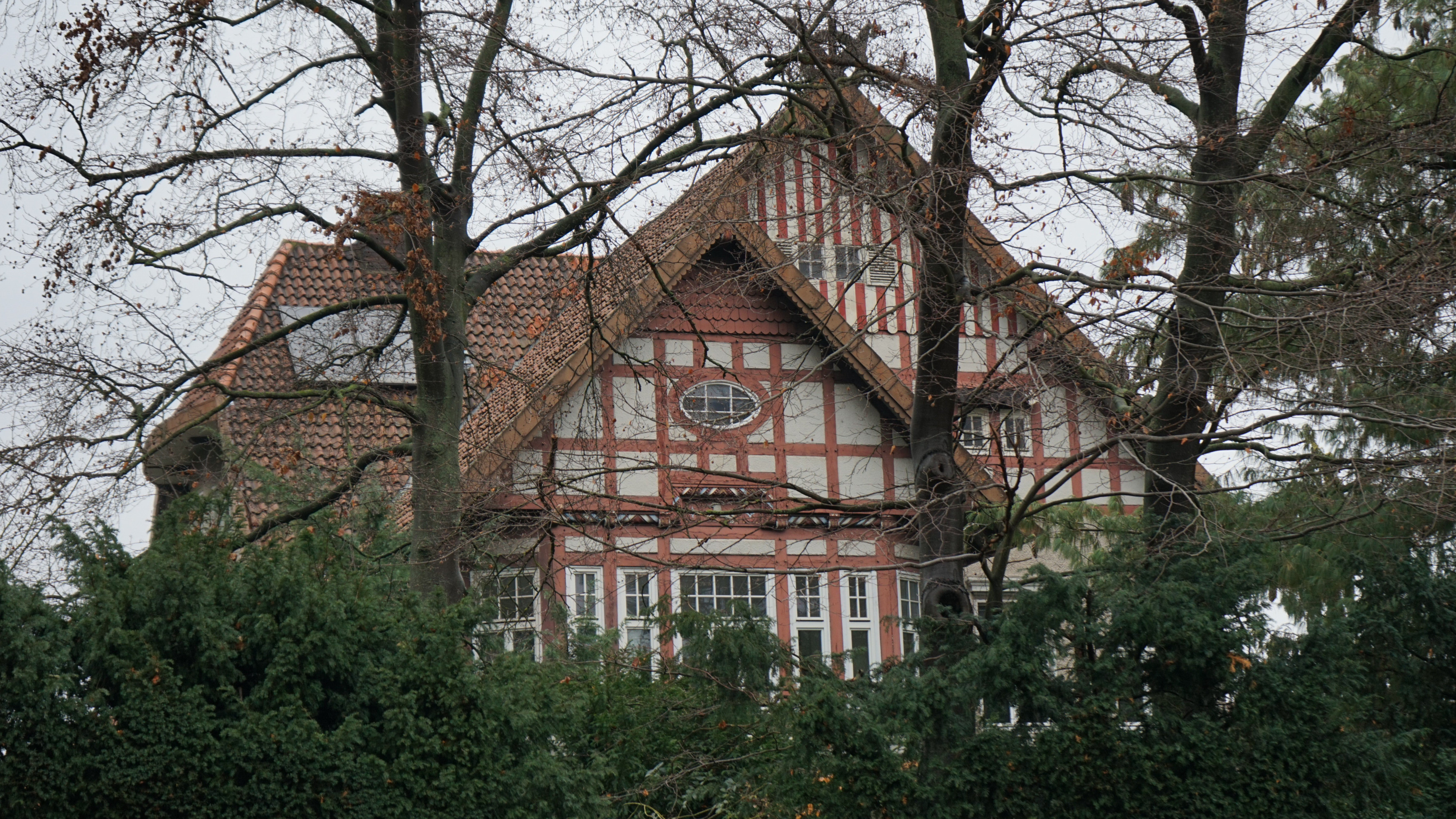 Backdrop for Enemies