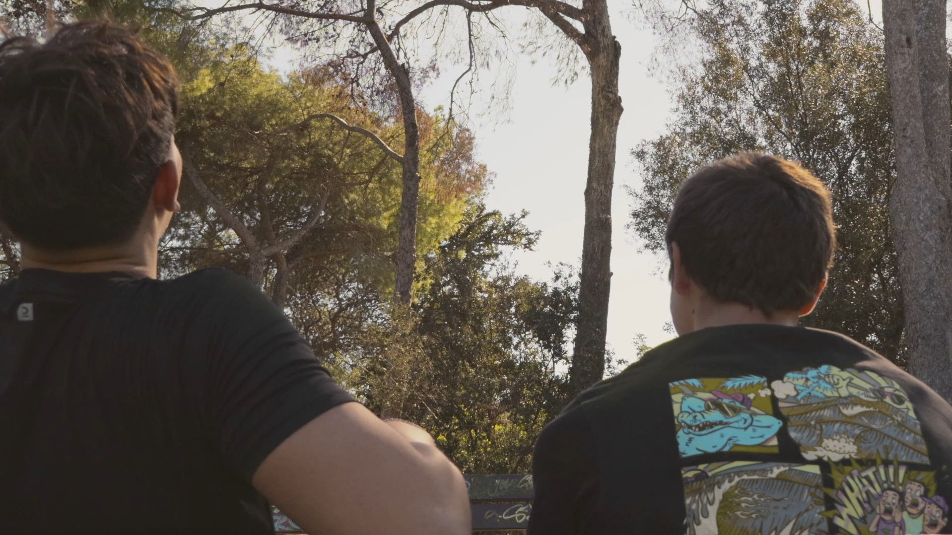 Backdrop for "Una amistat perduda"