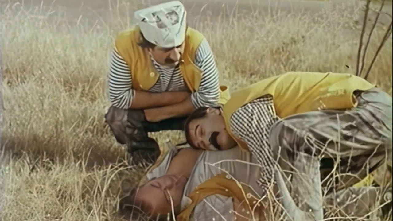 Backdrop for Thermometer