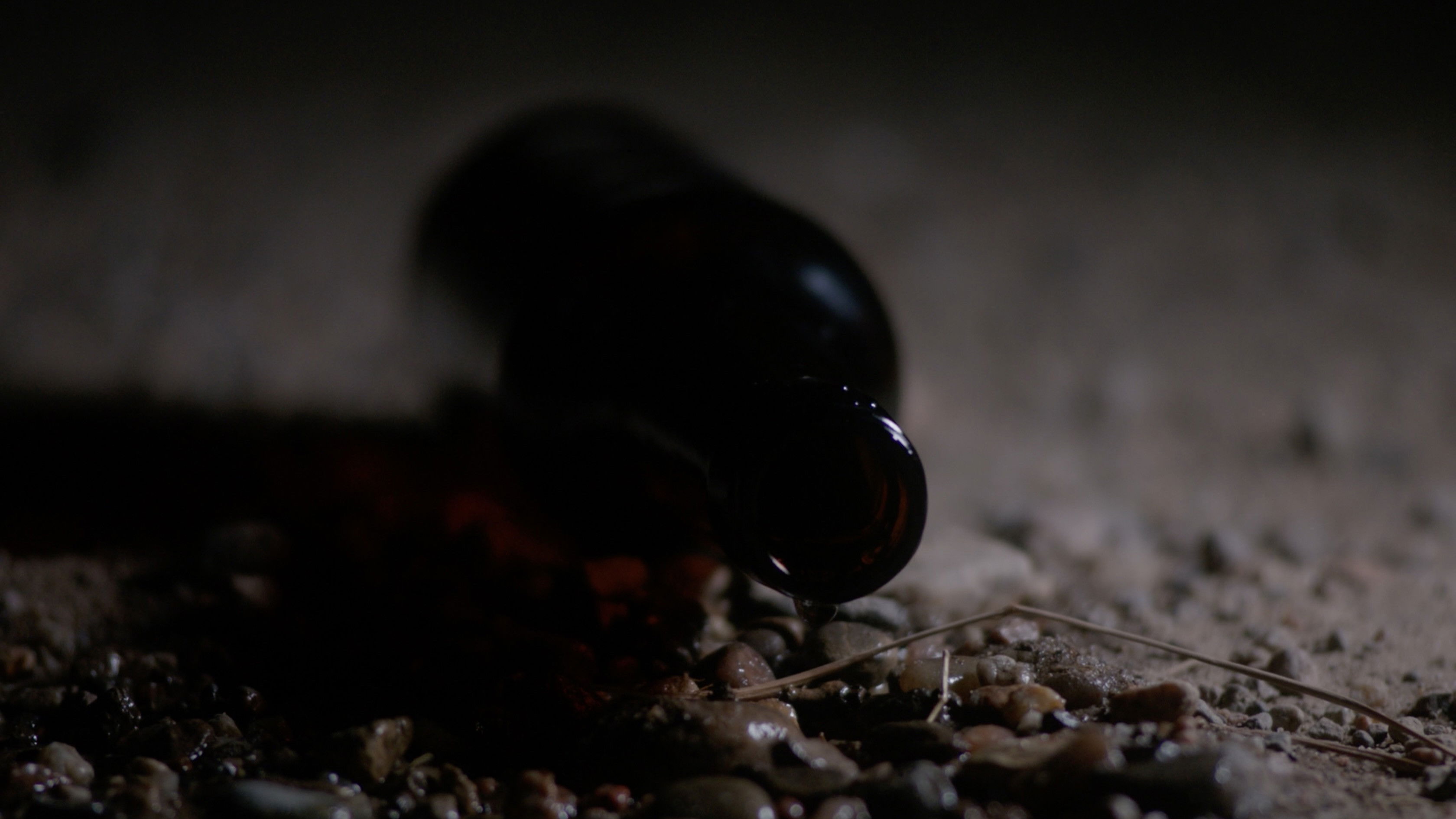 Backdrop for Our Shadow