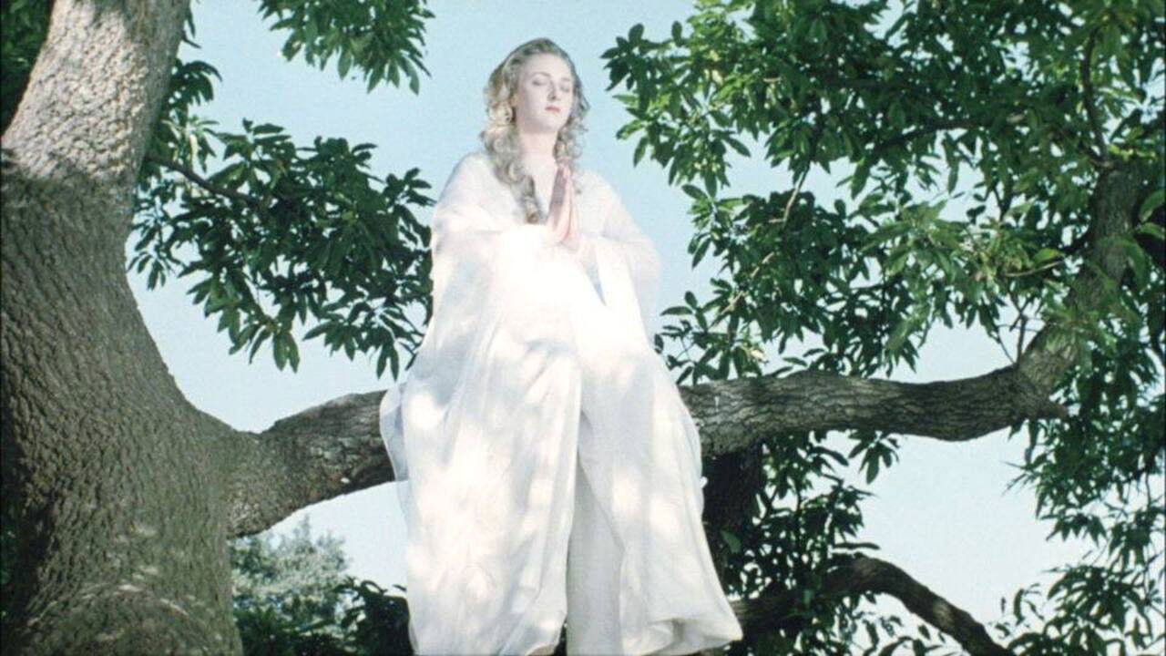 Backdrop for The Terrifying Revelations of Nostradamus