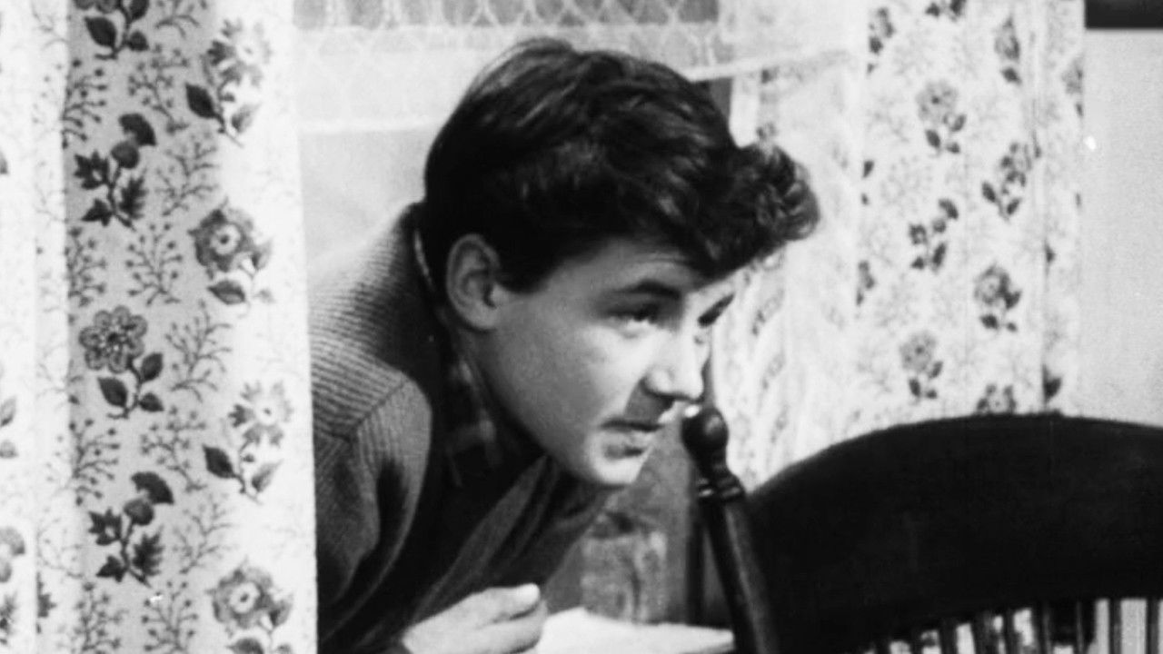 Backdrop for Wings of Mystery