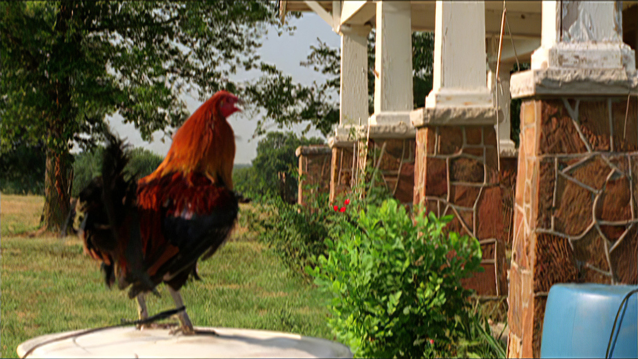 Backdrop for The Round and Round