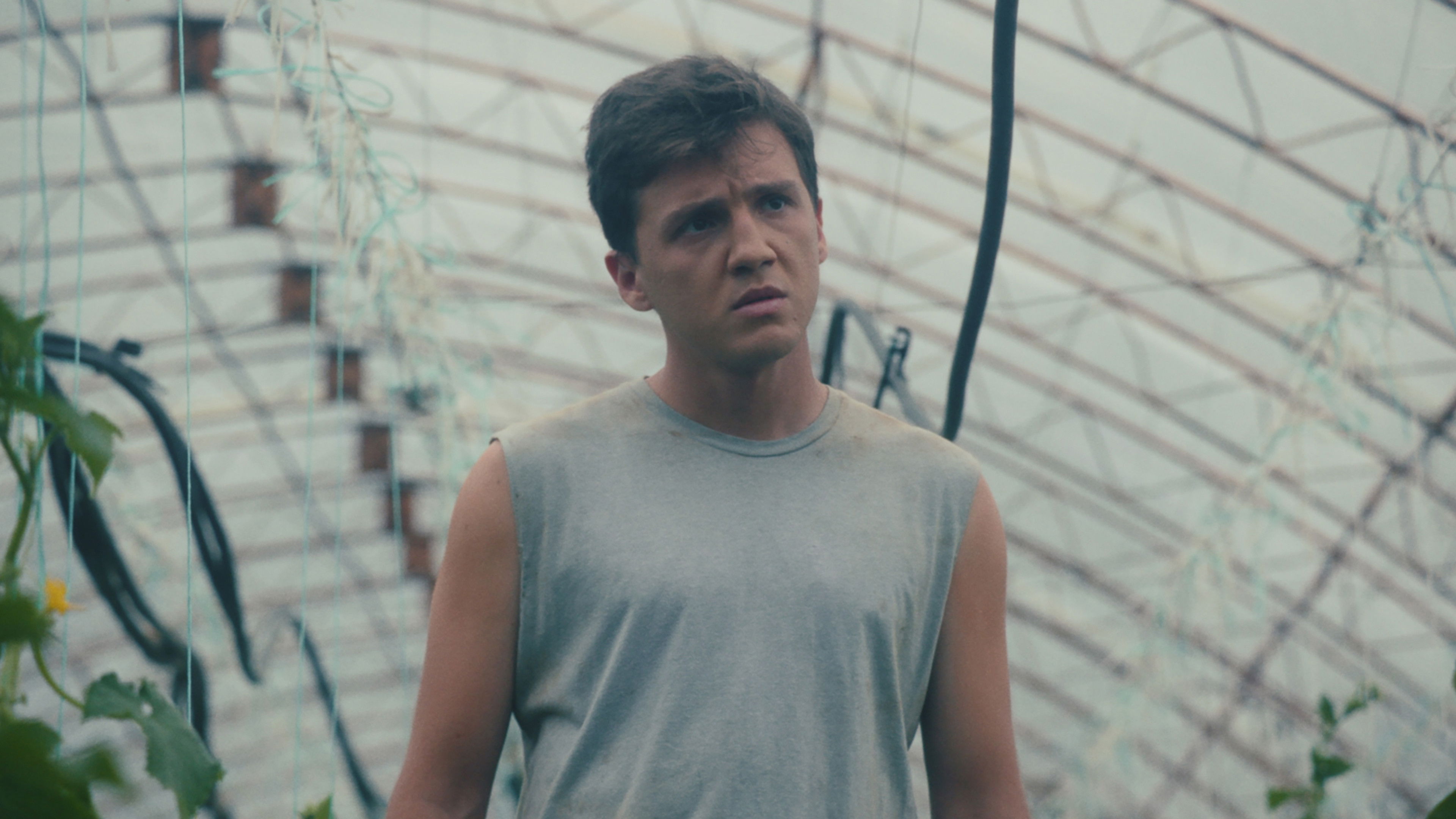 Backdrop for Greenhouse