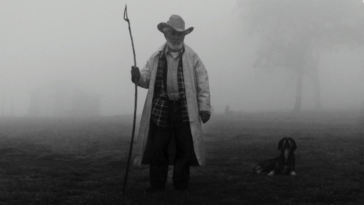 Backdrop for Gods of Mexico