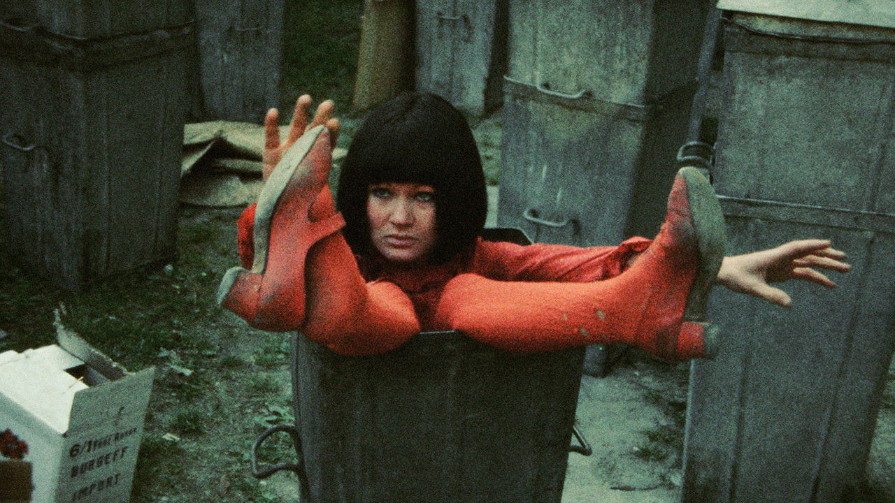 Backdrop for Tales of the Dumpster Kid