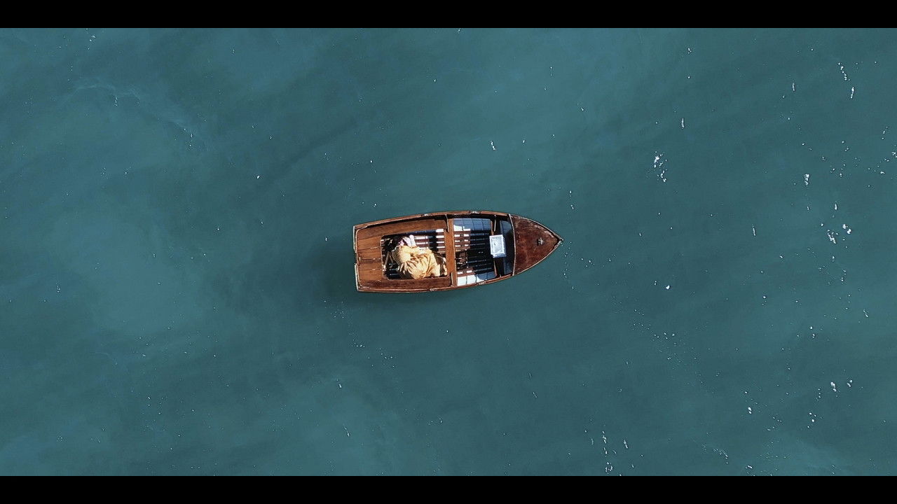 Backdrop for The Canary