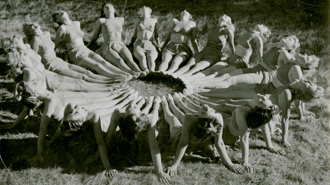 Backdrop for Females At Play