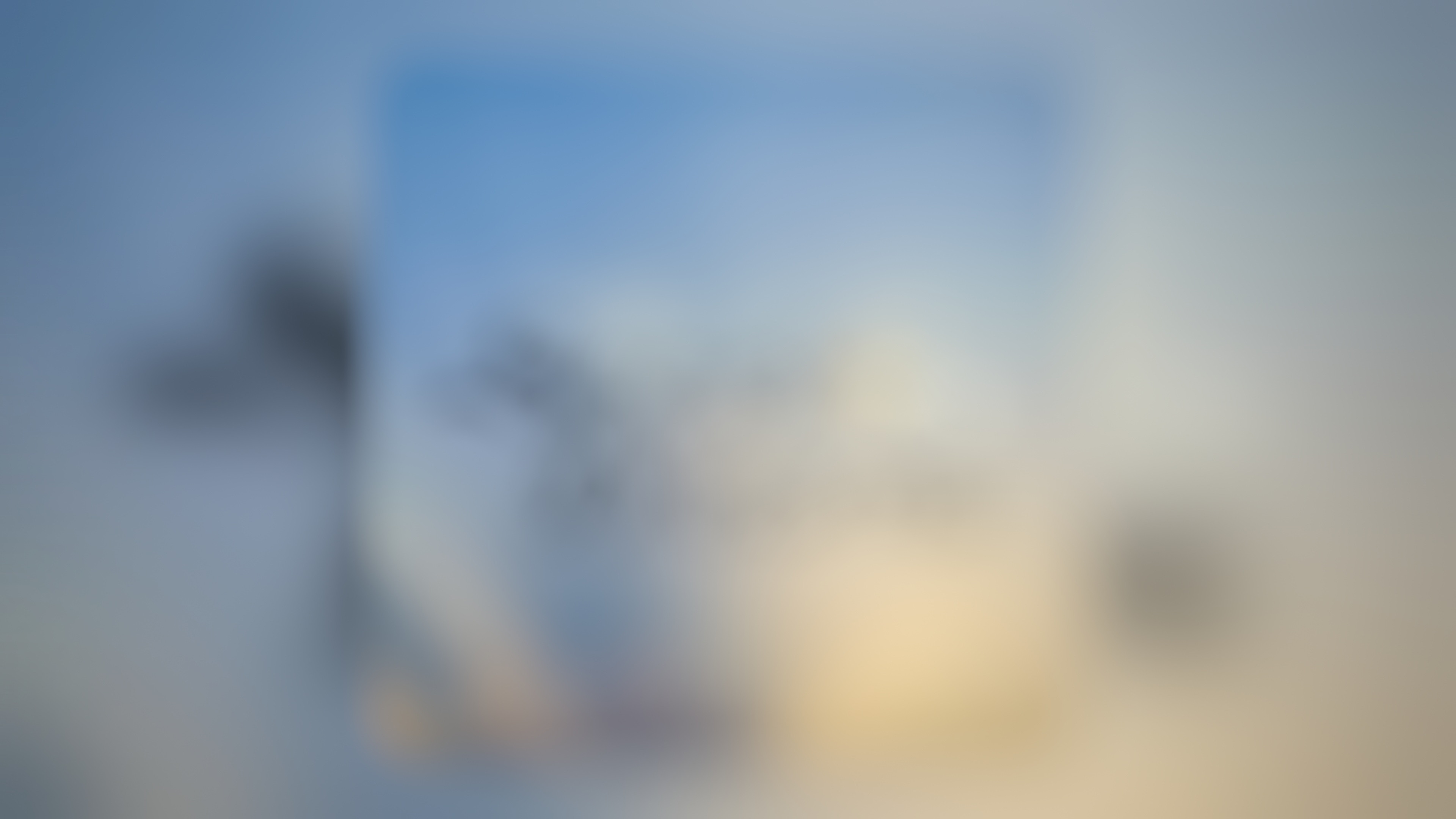 Backdrop for Social Dreams Series