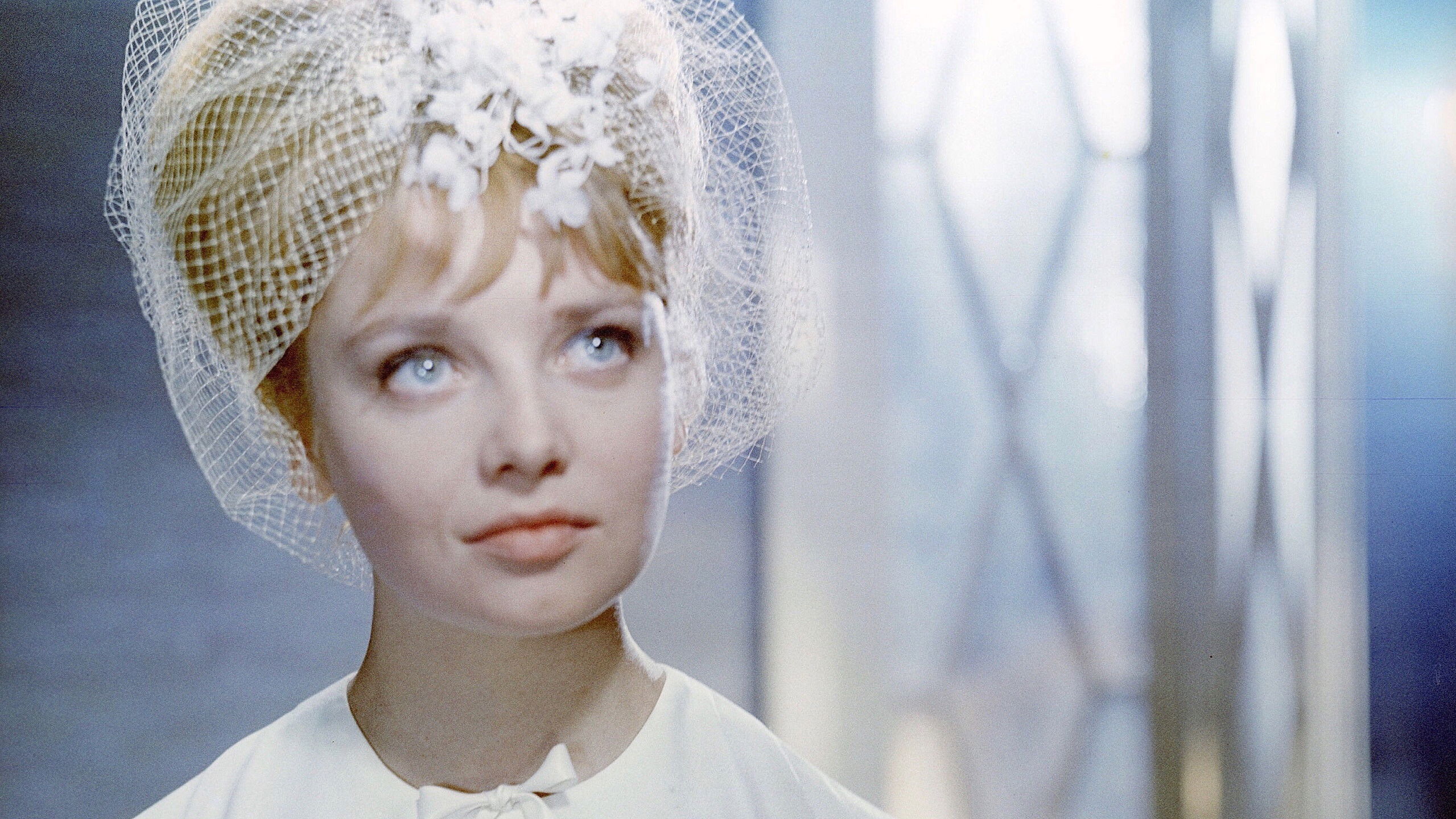 Backdrop for A Royal Regatta