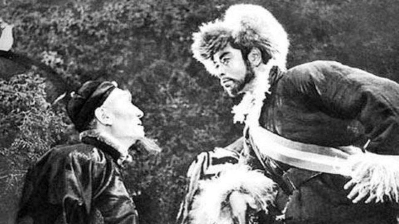 Backdrop for Tracks in the Snowy Forest