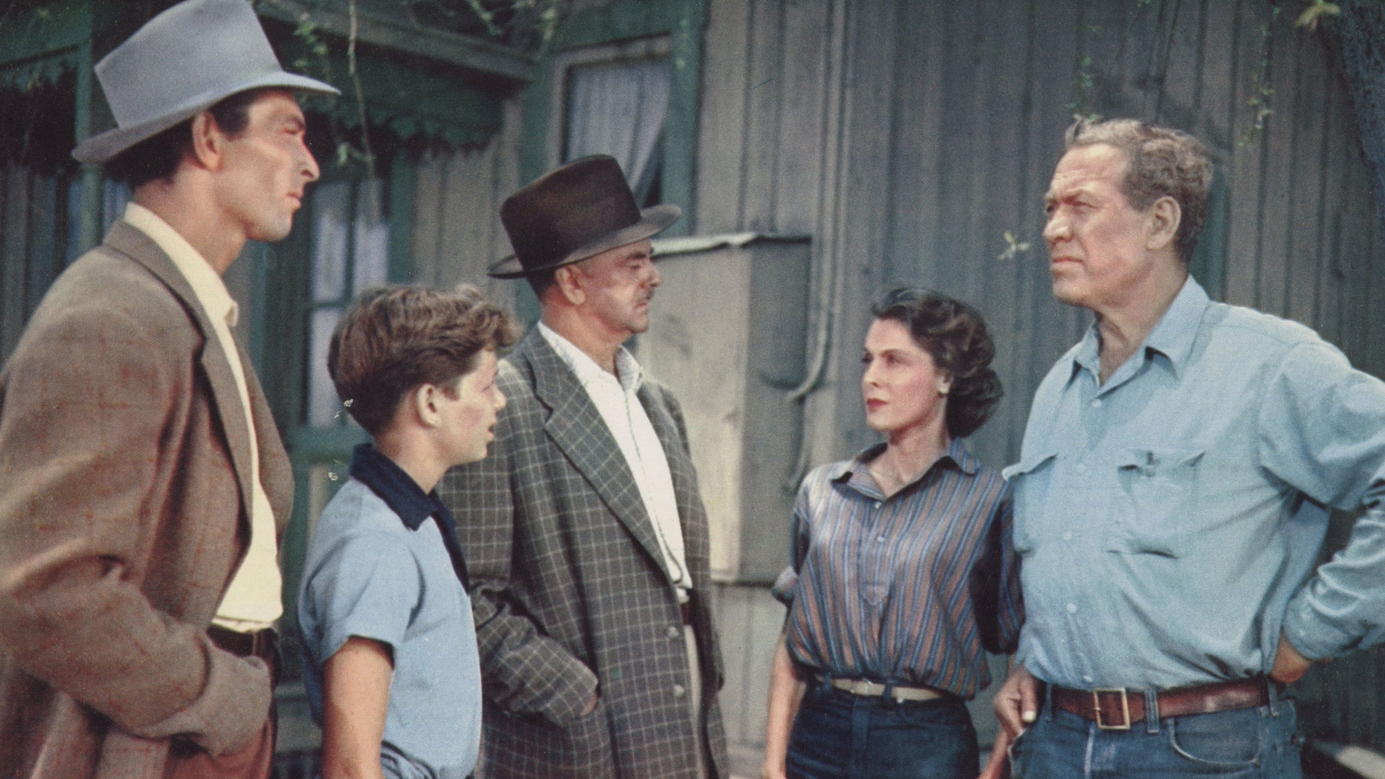 Backdrop for Gypsy Colt