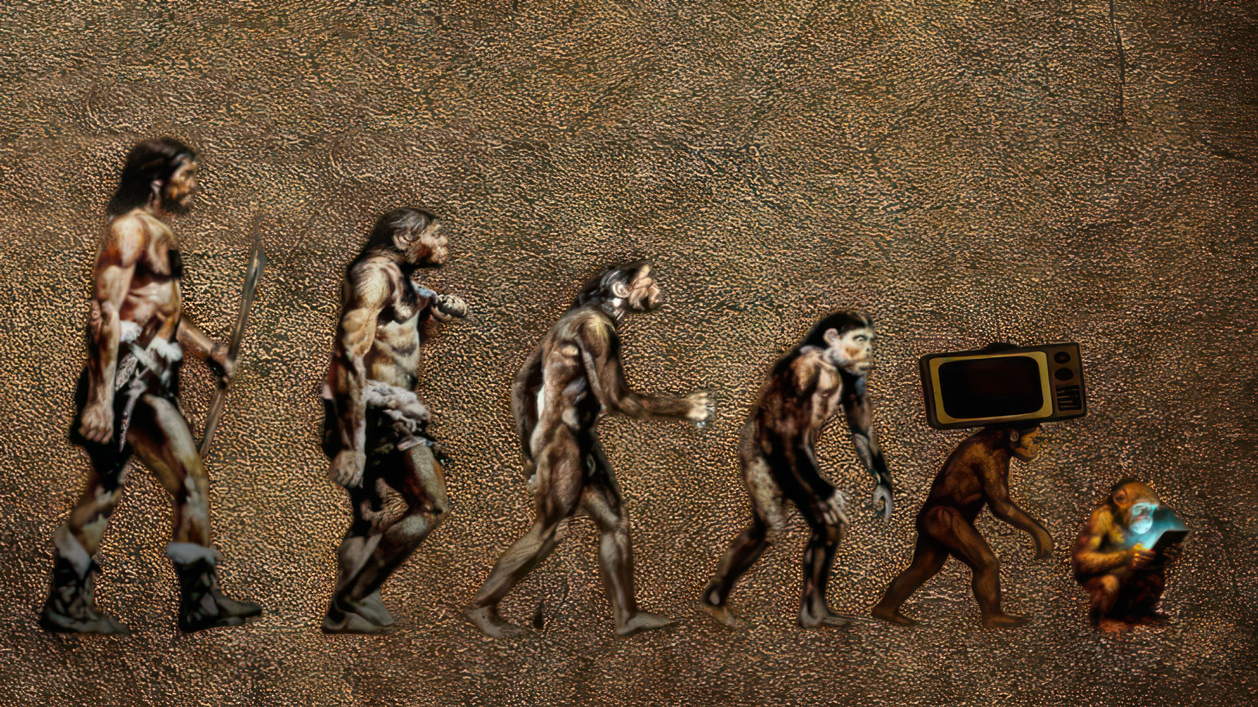 Backdrop for Humaniforms