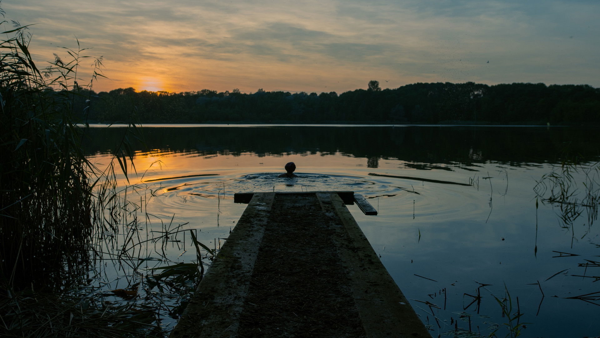 Backdrop for Fifty-Four Days