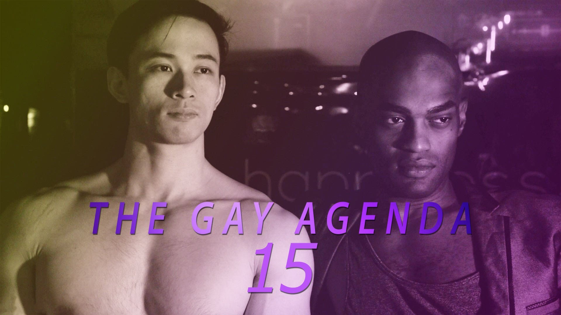 Backdrop for The Gay Agenda 15