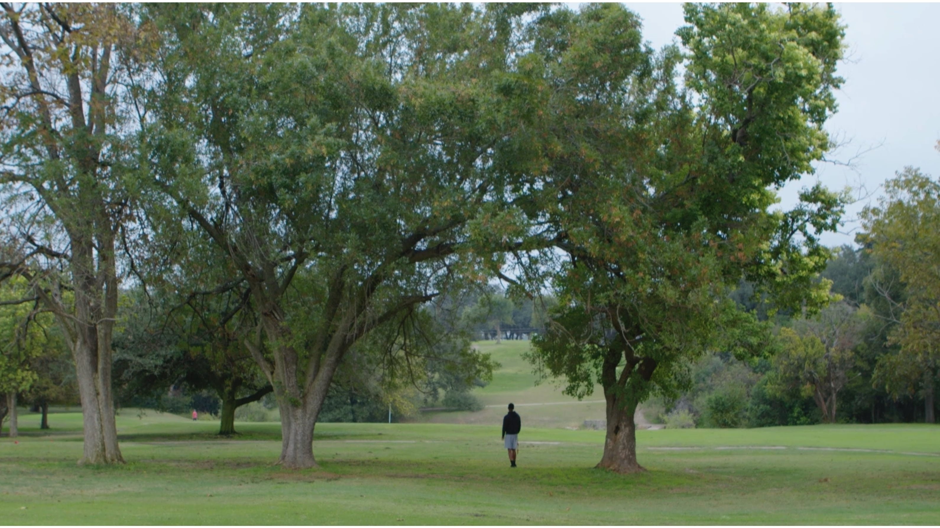 Backdrop for Thru The Night
