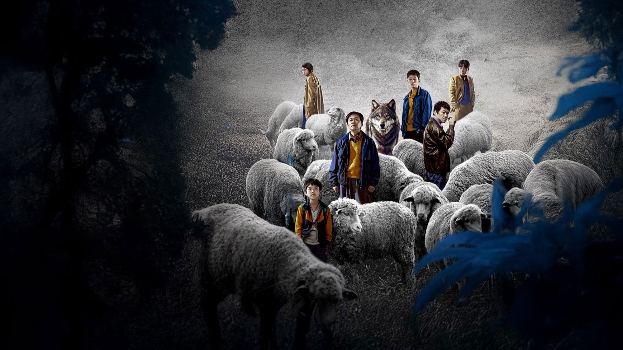 Backdrop for Playing Go