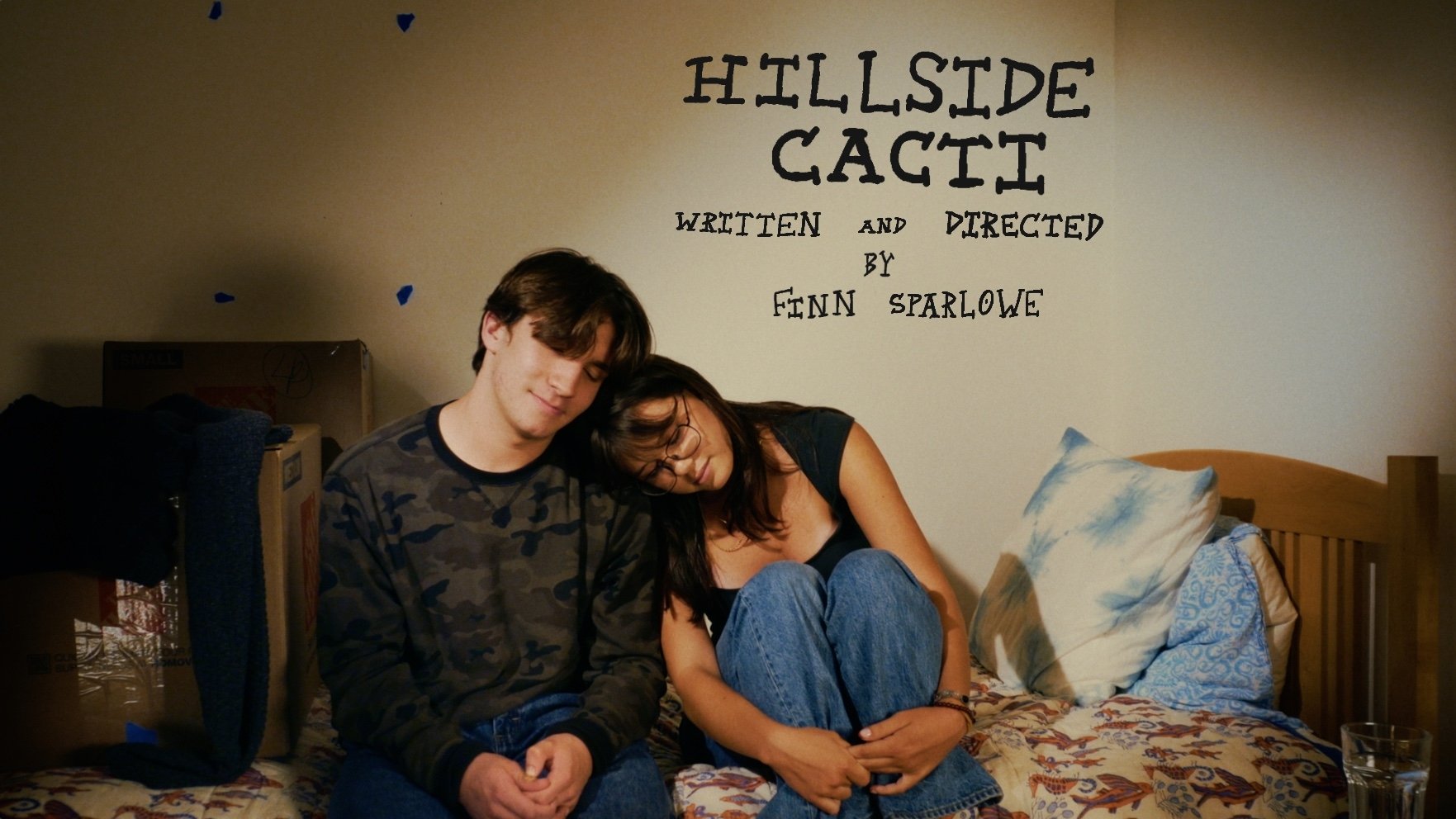 Backdrop for Hillside Cacti