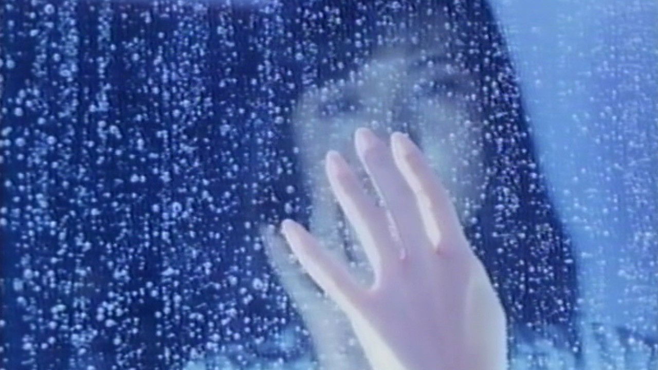 Backdrop for Love Letter in the Sand