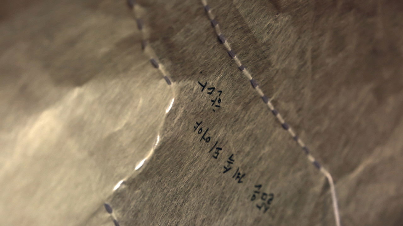 Backdrop for Littleboy 12725