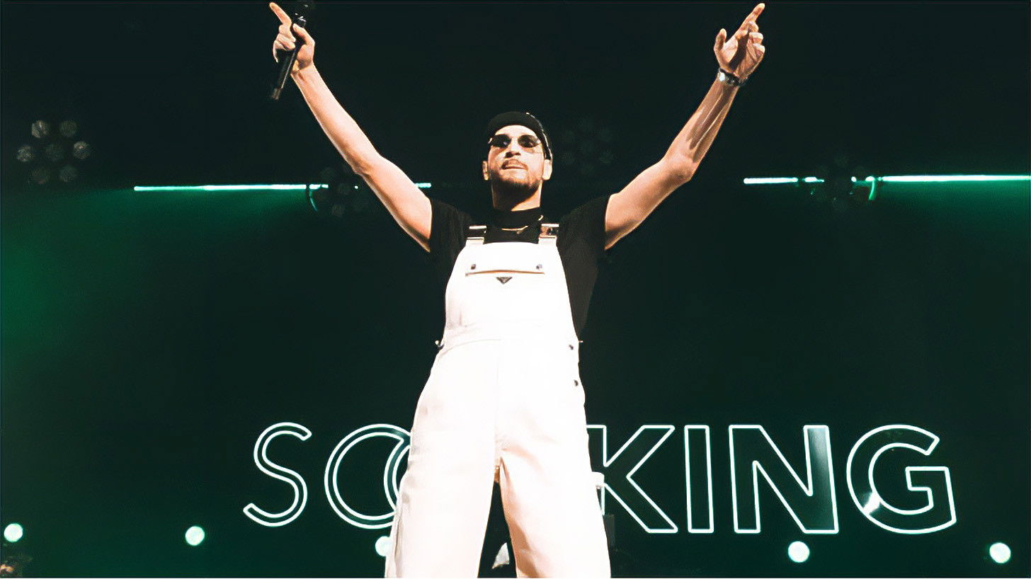 Backdrop for Soolking au Zénith