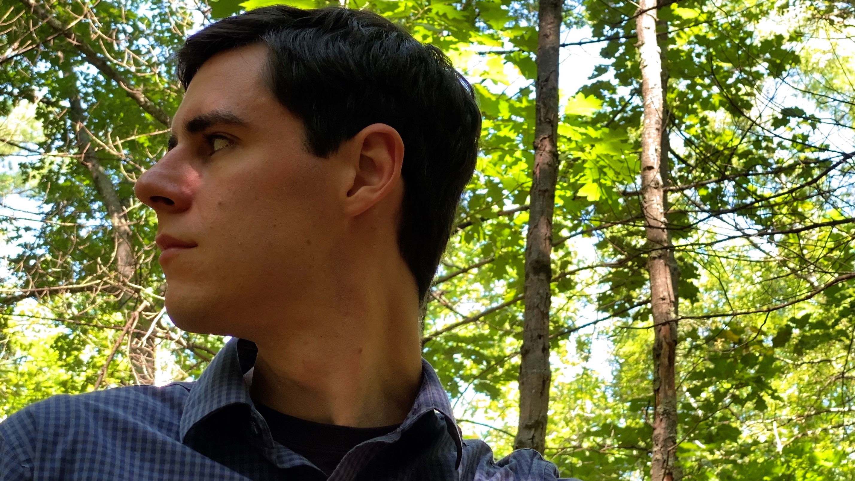 Backdrop for Crossing