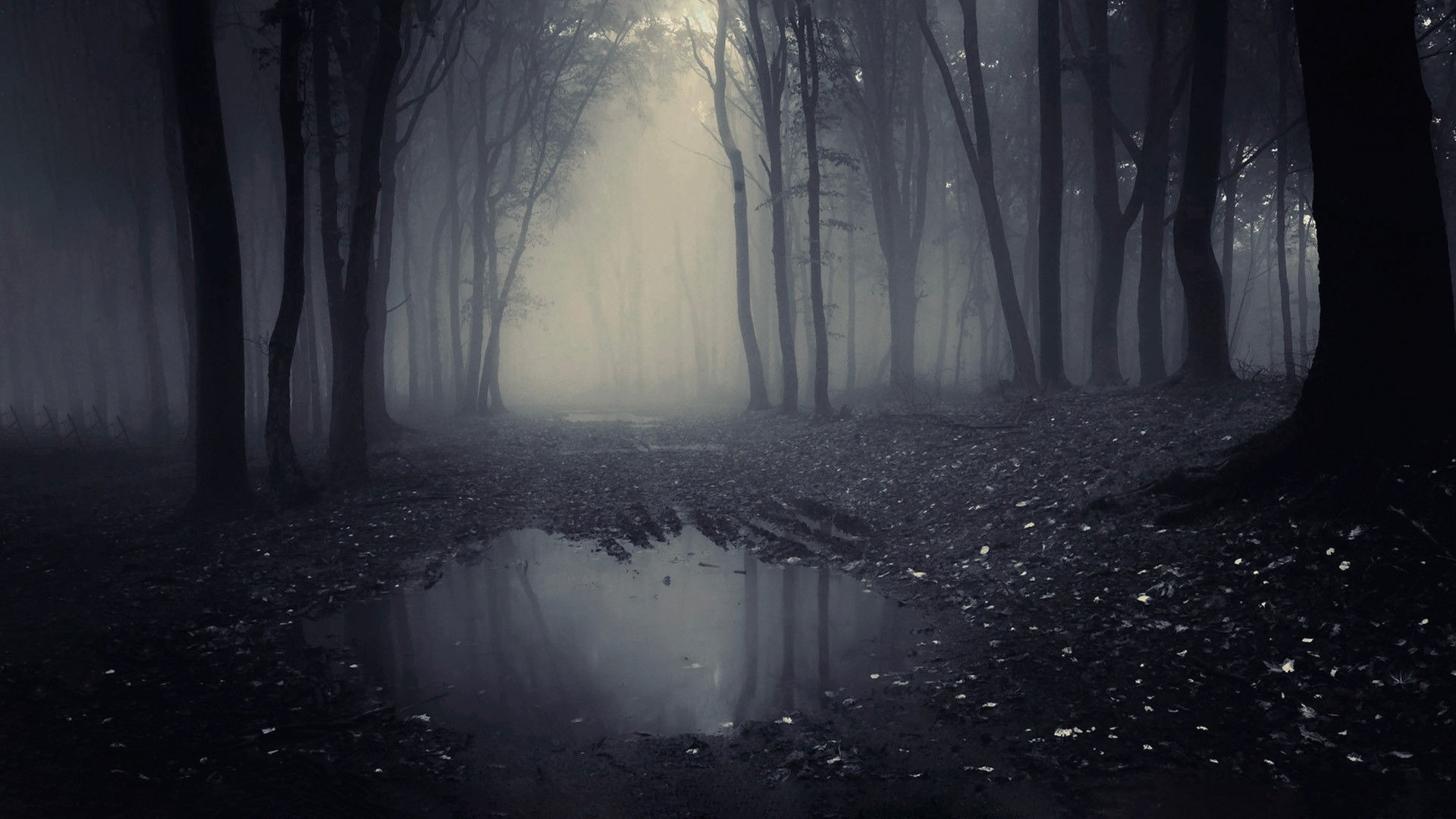 Backdrop for A Lenda do Homem Pássaro