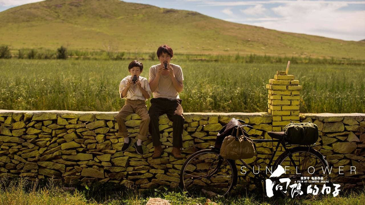 Backdrop for Sun Flower