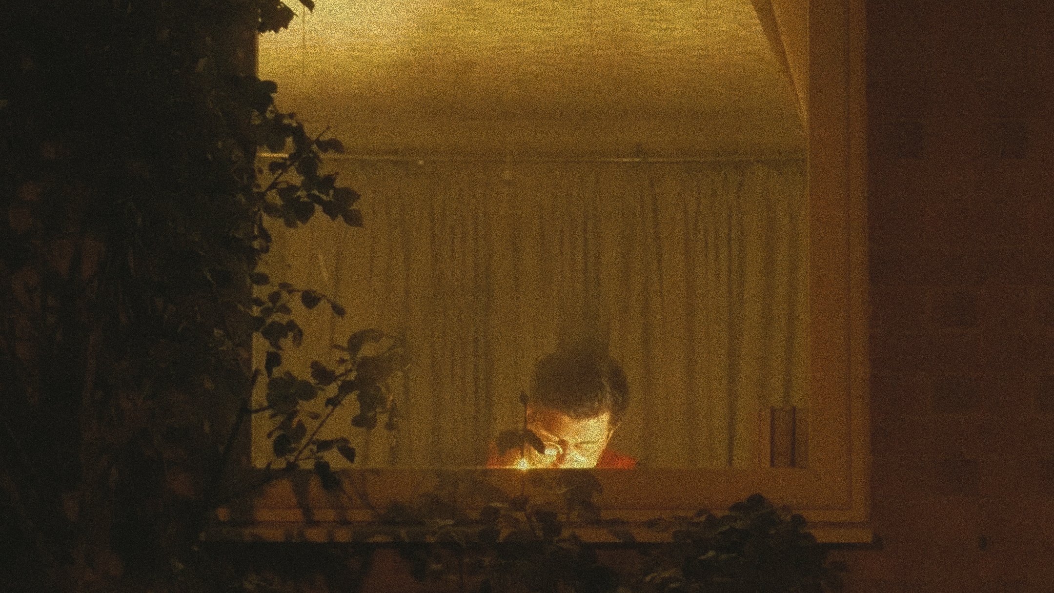 Backdrop for Bloodhaven